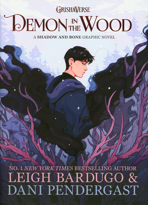 Demon in the wood : a Shadow and bone graphic novel