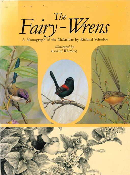 The fairy-wrens