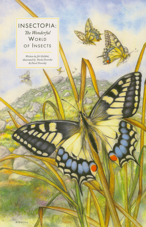 Insectopia : the wonderful world of insects