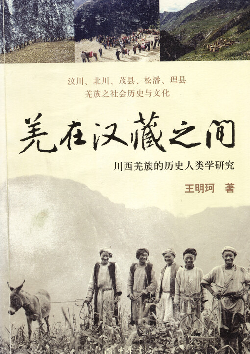 Qiang zai Han Zang zhi jian : Chuan xi Qiang zhu de li shi ren lei xue yan jiu