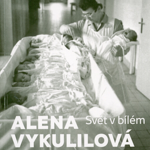Alena Vykulilová - svět v bílém = Alena Vykulilová - the world in white