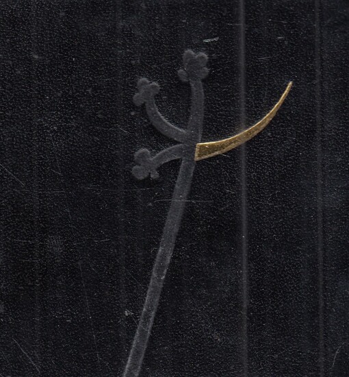 Co mi spí v noci pod víčky