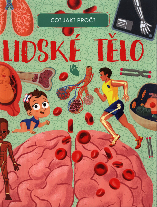 Lidské tělo