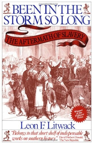 Been in the Storm So Long: The Aftermath of Slavery