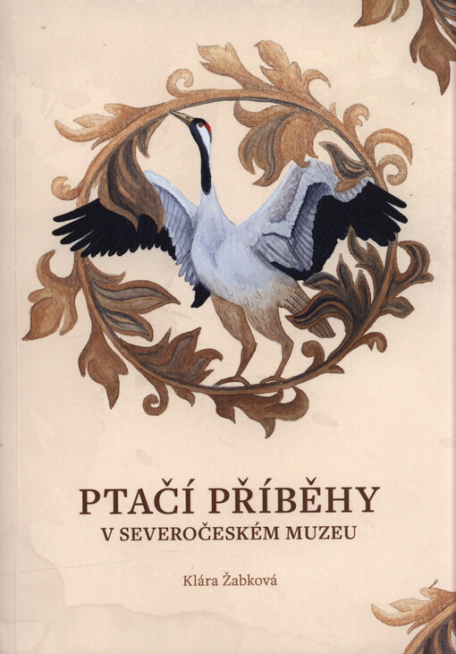 Ptačí příběhy v Severočeském muzeu