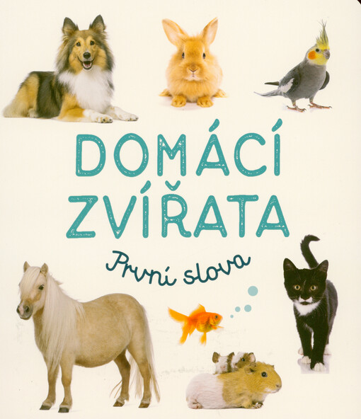 Domácí zvířata
