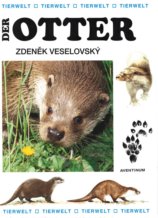 Der Otter
