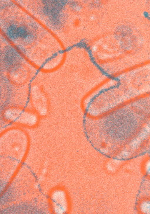 Činoherní Ústí ve znamení kovadliny