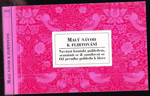Malý návod k flirtování
