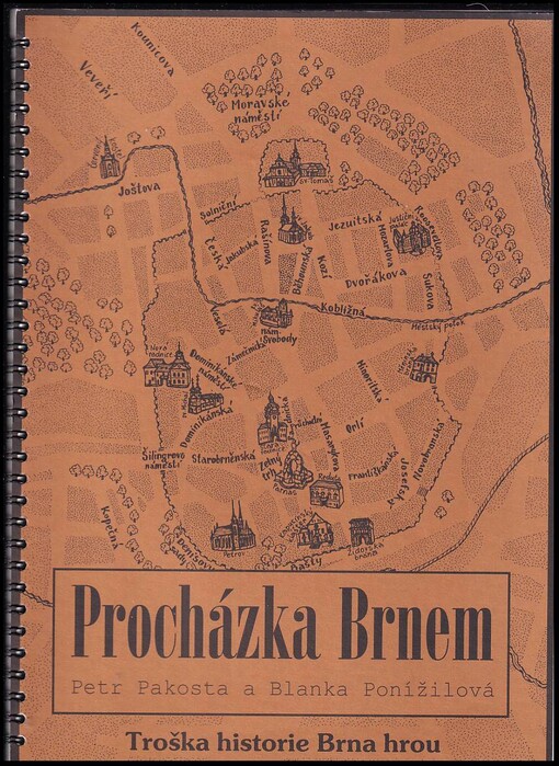 Procházka Brnem