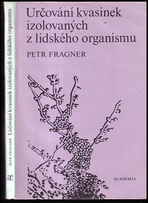 Určování kvasinek izolovaných z lidského organismu