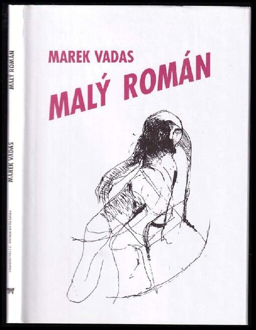Malý román