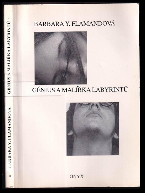 Génius a malířka labyrintů :sbírka povídek