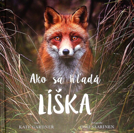 Ako sa hľadá líška