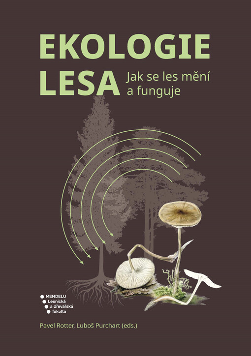 Ekologie lesa. Jak se les mění a funguje.