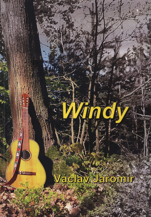Windy