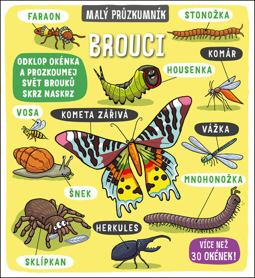 Malý průzkumník - Brouci