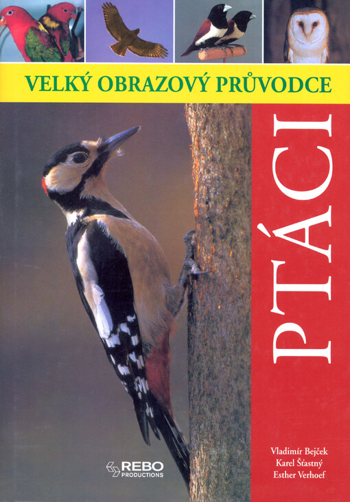 Ptáci: velký obrazový průvodce