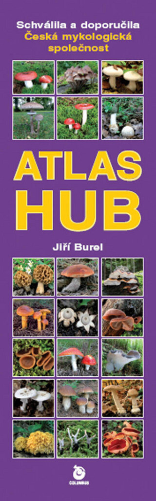 Atlas hub
