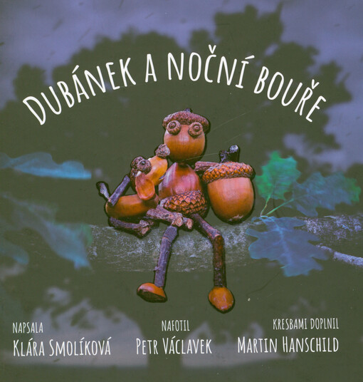 Dubánek a noční bouře