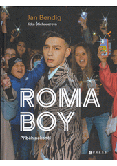 Roma boy : příběh nekončí  (odkaz v elektronickém katalogu)