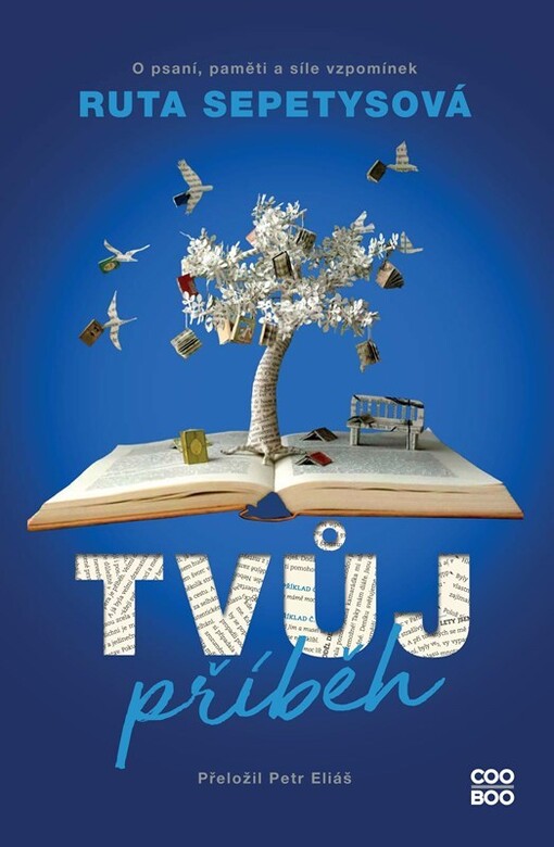 Tvůj příběh : o psaní, paměti a síle vzpomínek