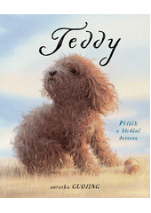 Teddy : příběh o hledání domova  (odkaz v elektronickém katalogu)
