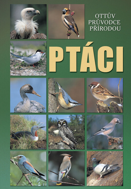 Ptáci: Ottův průvodce přírodou