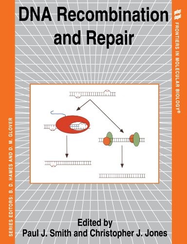 DNA Recombination and Repair (Frontiers in Molecular Biology)
