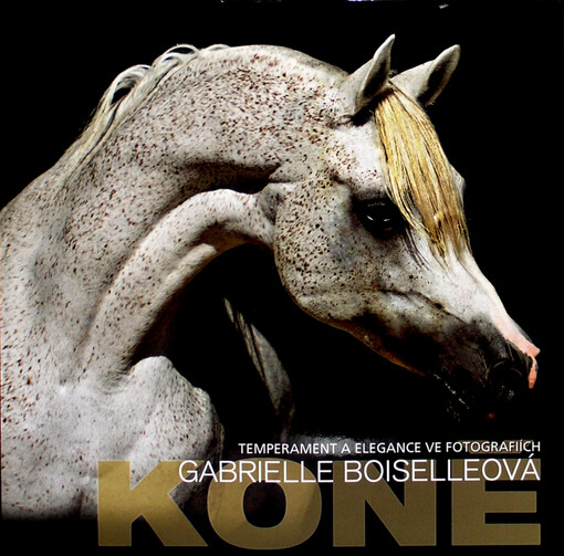 Koně