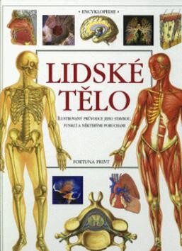 Lidské tělo.