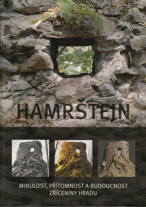 Hamrštejn : minulost, přítomnost a budoucnost zříceniny hradu