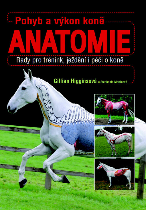 Pohyb a výkon koně :anatomie