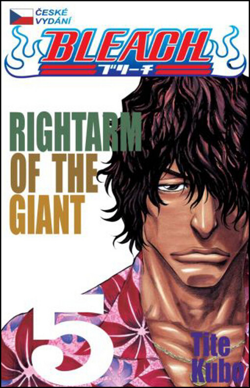 Rightarm of the giant