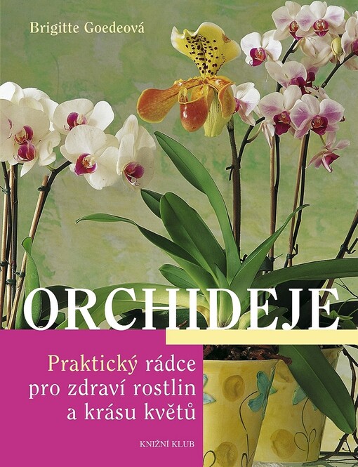 Orchideje: praktický rádce pro zdraví rostlin a krásu květů