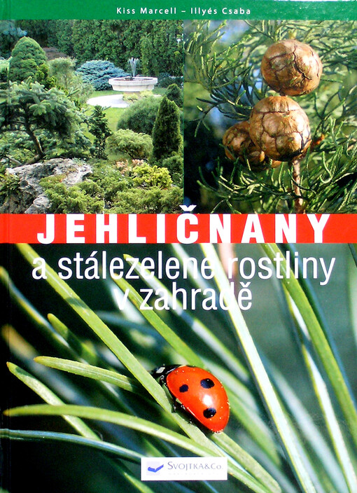 Jehličnany a stálezelené rostliny v zahradě