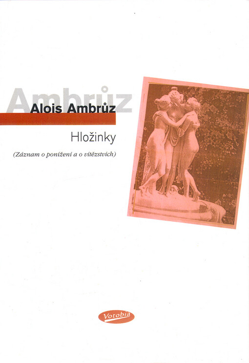 Hložinky :záznam o ponížení a o vítězství : Burlington, Ontario, 2004