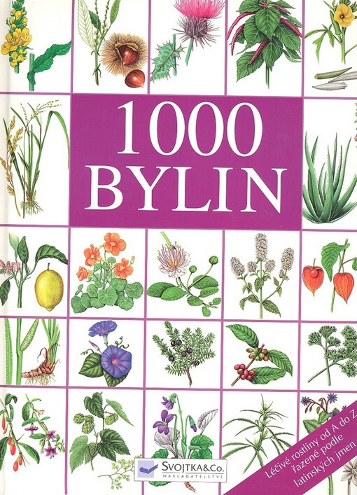 1000 bylin