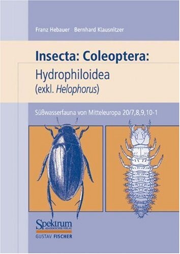 Süßwasserfauna von Mitteleuropa, Bd. 20/7-10: Insecta: Coleoptera: Hydrophiloidea (exkl: <i>Helophorus</i>) (German Edition)