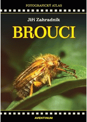 Brouci  (odkaz v elektronickém katalogu)