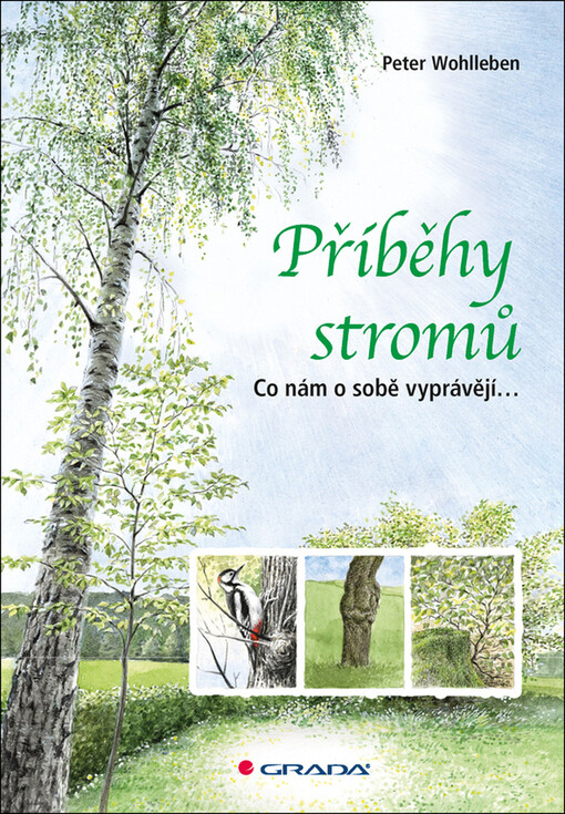 Příběhy stromů | Wohlleben Peter - e-kniha