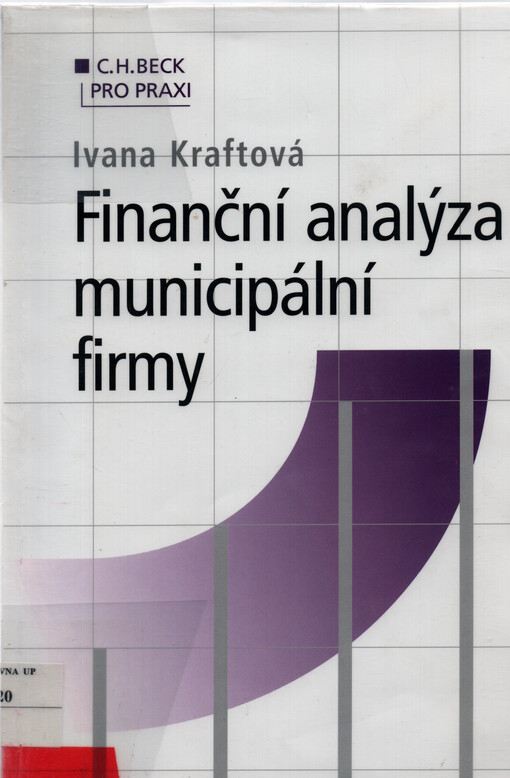 Finanční analýza municipální firmy