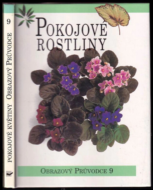 Pokojové rostliny.