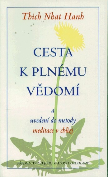 Cesta k plnému vědomí a uvedení do metody meditace v chůzi.