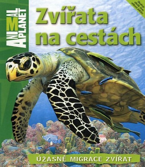 Zvířata na cestách :úžasné migrace zvířat