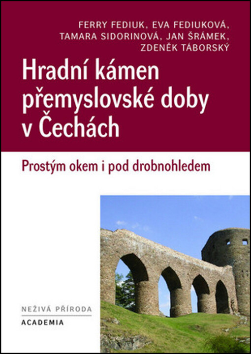 Hradní kámen přemyslovské doby v Čechách :prostým okem i pod drobnohledem