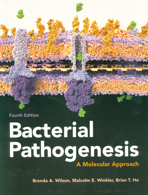 Bacterial pathogenesis : a molecular approach
