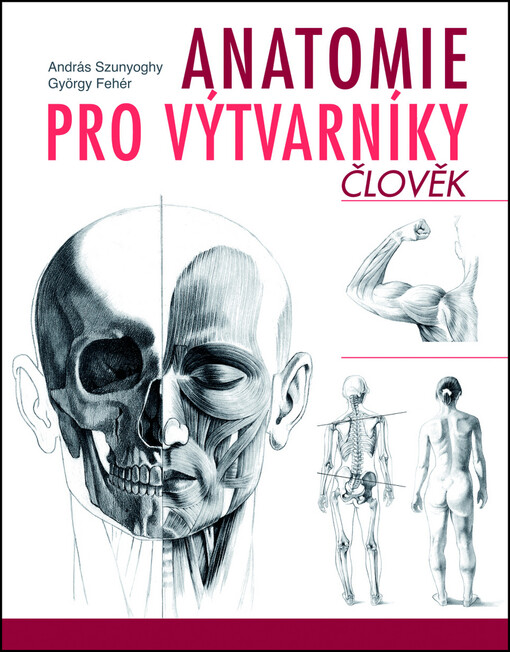 Anatomie pro výtvarníky - Člověk