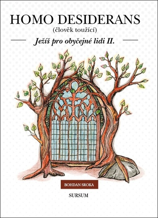 Ježíš pro obyčejné lidi. II, Homo desiderans (člověk toužící)