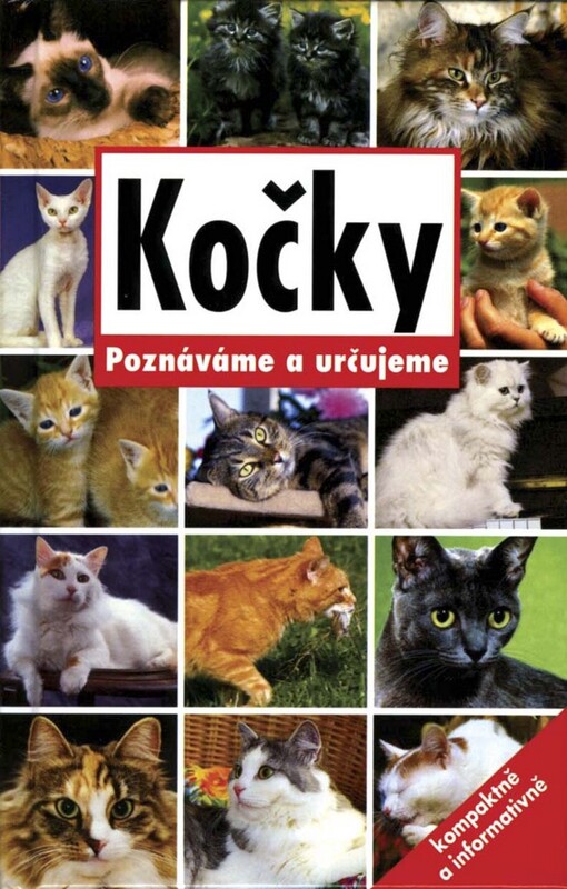 Kočky: poznáváme a určujeme